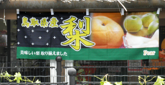 道の駅いちのみや様　鳥取県産、梨。美味しい梨、取り揃えました